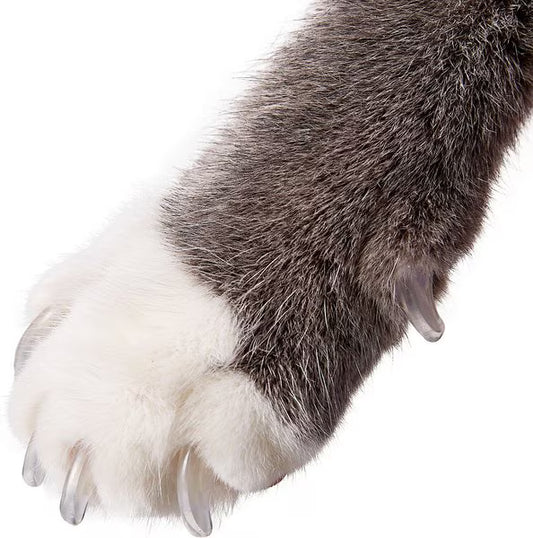 Purrdy Paws Soft Cat Nail Caps – 40 Count, Small, Clear | Gentle Claw Protection for Cats