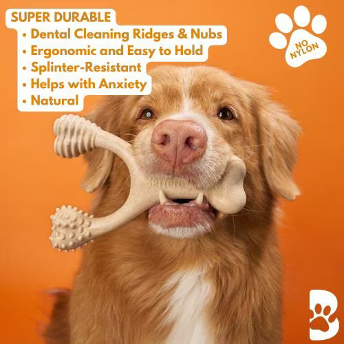 BetterBone Hard Beef Dog Toy, Natural, Large