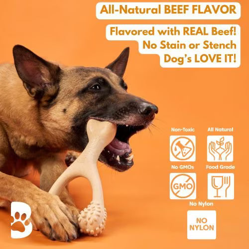 BetterBone Hard Beef Dog Toy, Natural, Large