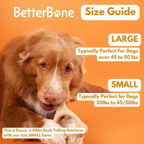 BetterBone Hard Beef Dog Toy, Natural, Large