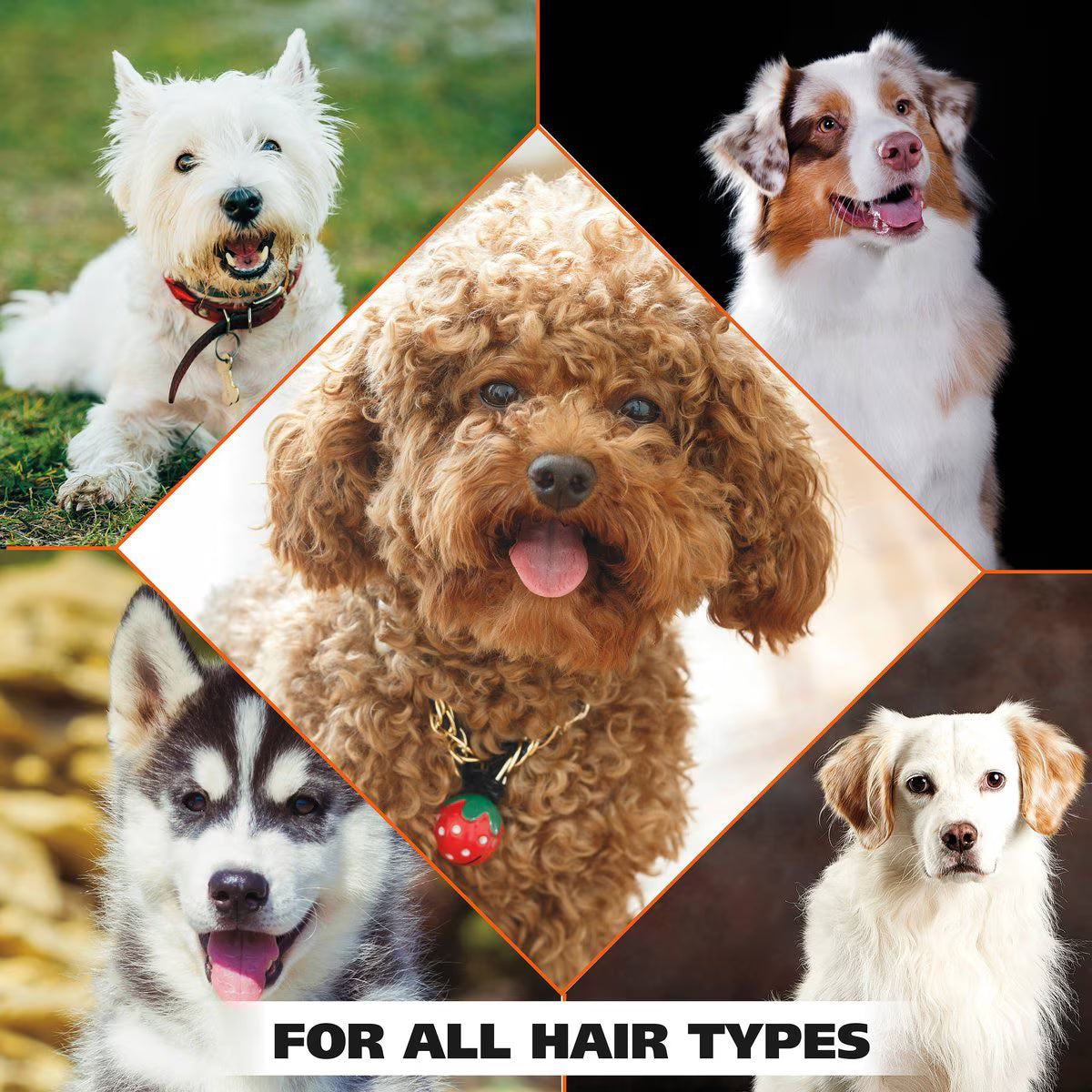 Wahl Oatmeal Formula Dog Shampoo, Coconut Lime Verbena Scent, 24-fl oz bottle