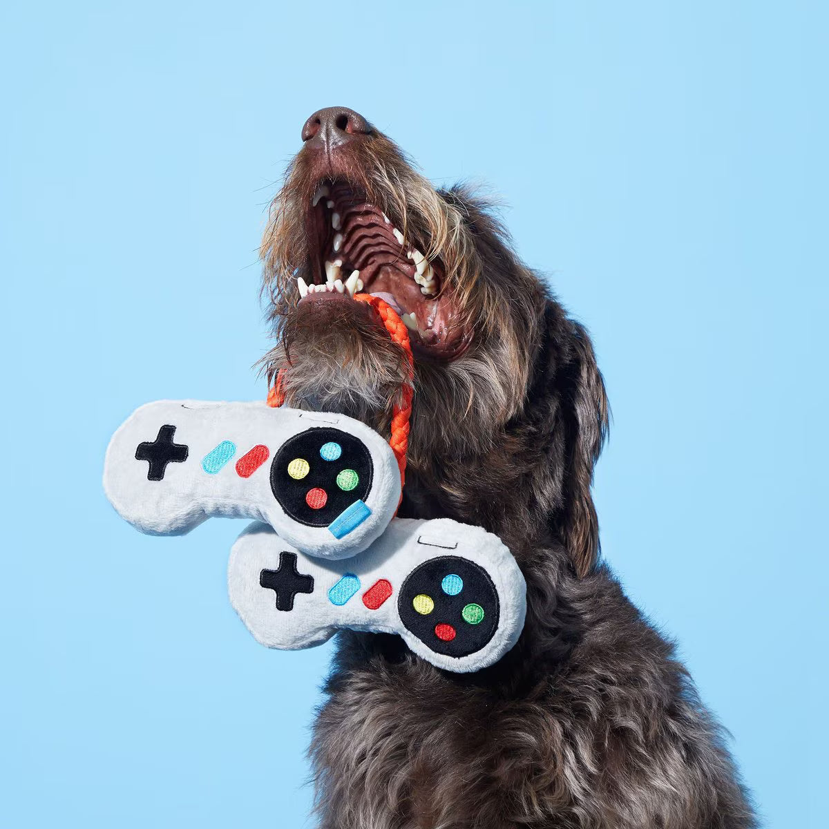 BARK Ate Bit Controllers Squeaky Plush Dog Rope Toy